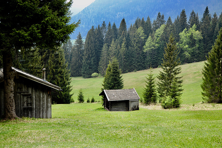 Trabzon'daki Bungalov Evler 1 Karadeniz Bolgesi 2